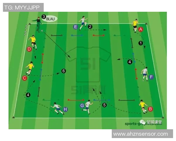法国与澳洲足球对决数据分析及战术解析全面解读
